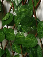 Ограждение декоративное «Лист берёзы», 120×40 см, Greengo - Фото 3