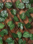 Ограждение декоративное «Лист берёзы», 120×40 см, Greengo - Фото 4
