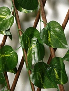 Ограждение декоративное «Лист берёзы», 120×70 см, Greengo - Фото 5