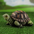 Садовая фигура "Черепаха", коричнево-зеленая, полистоун, 13х20х25 см - Фото 3