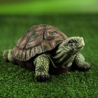 Садовая фигура "Черепаха", 20 см × 16 см × 10 см - Фото 1