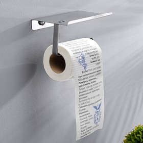 Сувенирная туалетная бумага 'Русско-английский разговорник', 1 часть, 9х10х9 см