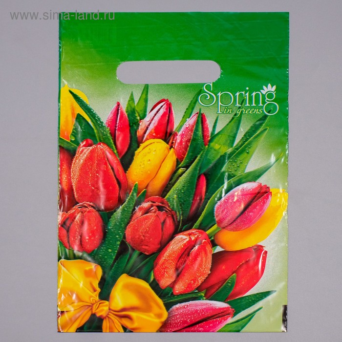 Пакет "Весна", полиэтиленовый с вырубной ручкой, 20 х 30 см, 30 мкм - Фото 1