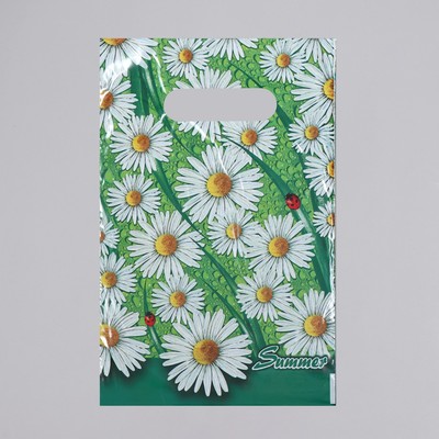 Пакет «Лето», полиэтиленовый с вырубной ручкой,30 мкм, 20×30 см