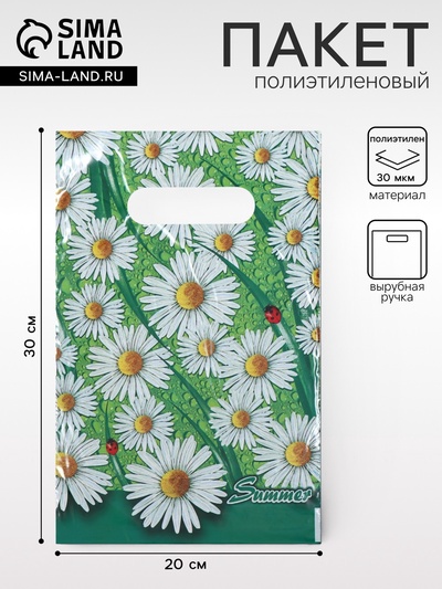 Пакет «Лето», полиэтиленовый с вырубной ручкой,30 мкм, 20×30 см