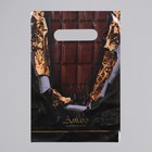 Пакет «Горький шоколад», полиэтиленовый с вырубной ручкой, 30 мкм 20 х 30 см - фото 318046697