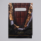 Пакет «Горький шоколад», полиэтиленовый с вырубной ручкой, 30 мкм 20×30 см - Фото 2