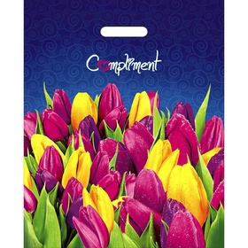 Пакет «Комплимент», полиэтиленовый с вырубной ручкой, 60 мкм 38?47 см (комплект 50 шт)