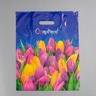 Пакет «Комплимент», полиэтиленовый с вырубной ручкой, 60 мкм 38×47 см  (артикул 3093923)  большой выбор товаров оптом и в розницу по низким ценам с доставкой