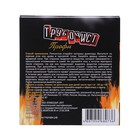 Средство для очистки дымоходов от сажи и копоти «Трубочист профи», 2×50 г - Фото 4