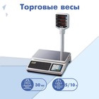 Торговые весы CAS PR-30P - фото 297988083