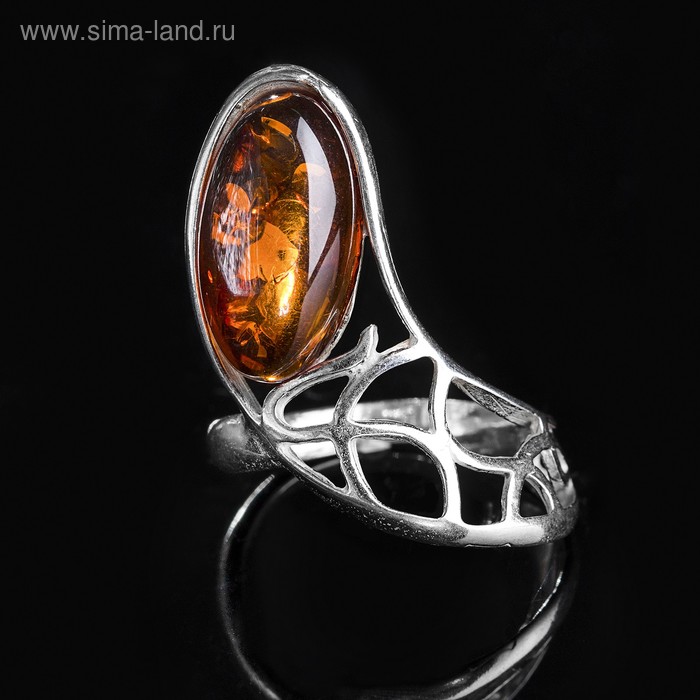 Кольцо посеребрение "Янтарь" затмение, цвет коричневый, 17 р-р - Фото 1