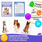 Обучающие карточки по методике Г. Домана «Собаки», 10 карт, А6 - фото 8635739