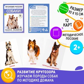 Обучающие карточки по методике Г. Домана «Собаки», 10 карт, А6 3000944