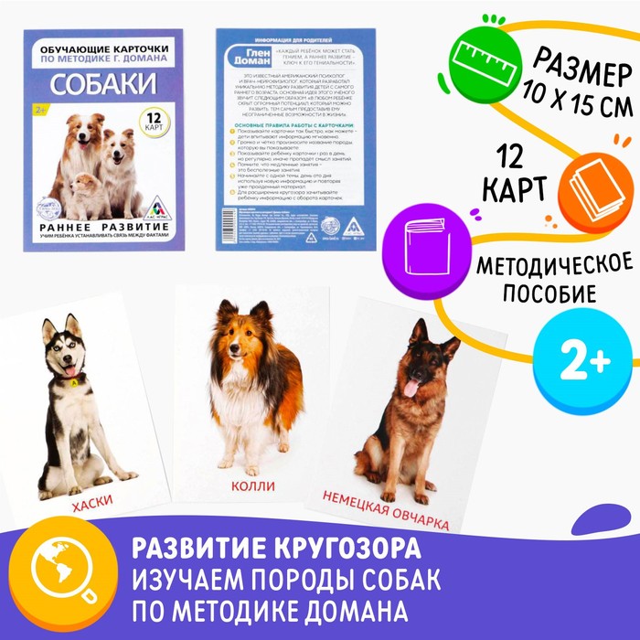 Обучающие карточки по методике Г. Домана «Собаки», 10 карт, А6 - Фото 1