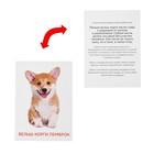 Обучающие карточки по методике Г. Домана «Собаки», 10 карт, А6 - Фото 3