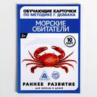 Обучающие карточки по методике Г. Домана «Морские обитатели», 10 карт, А6 - Фото 5