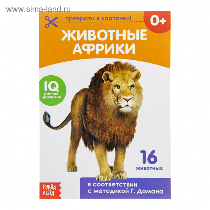 Обучающая книжка по методике Г. Домана «Животные Африки», 20 стр. - Фото 1