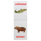 Обучающая книжка по методике Г. Домана «Животные Африки», 20 стр. - Фото 2