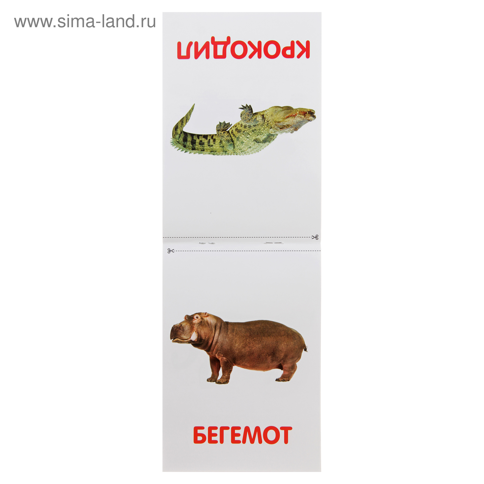 Набор карточек Буква-Ленд Окружающий мир. комплект 6 шт. 17x12 см - купить по вы