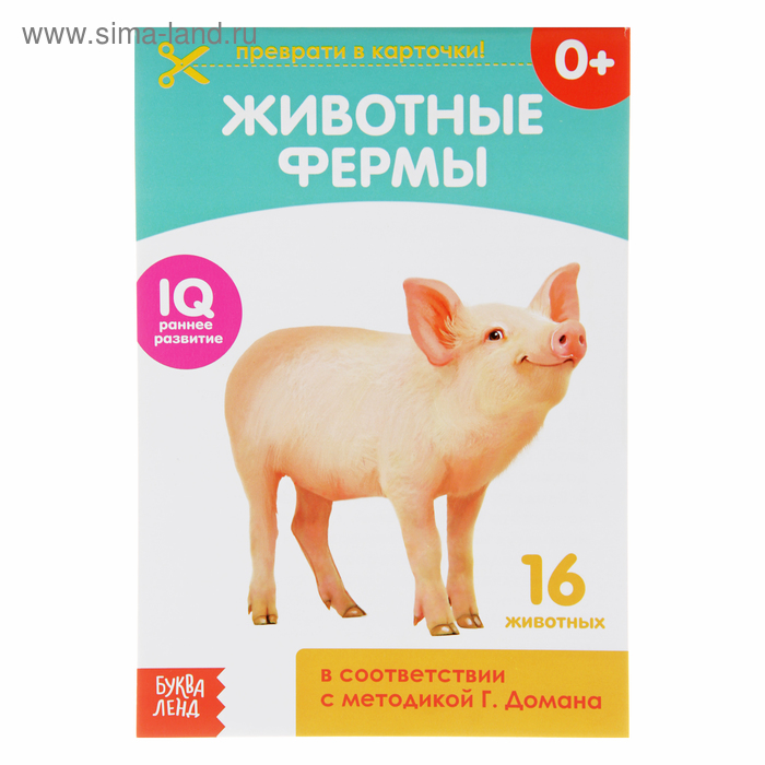 Обучающая книжка по методике Г. Домана «Животные фермы», 20 стр. - Фото 1