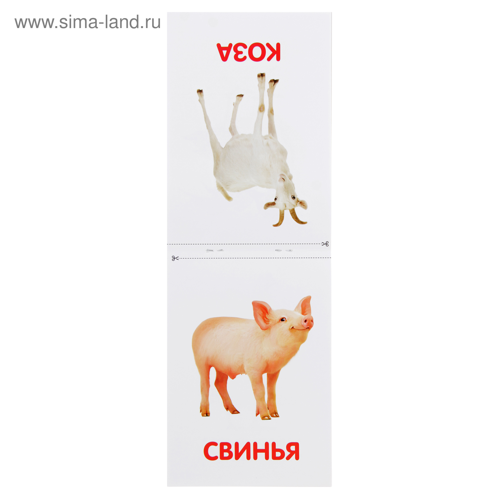 Карточки Домана Для Самых Маленьких Купить