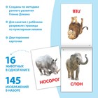 Книги «Карточки Домана на скрепке», набор, 8 шт. по 20 стр. - Фото 2