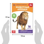 Книги «Карточки Домана на скрепке», набор, 8 шт. по 20 стр. - Фото 3
