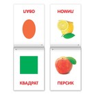 Книги «Карточки Домана на скрепке», набор, 8 шт. по 20 стр. - Фото 5