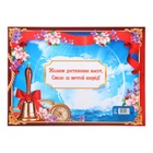 Планшет на выпускной «Выпускнику», 21.8×30 см - Фото 3