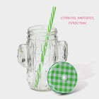 Кружка Доляна «Кактус», 450 мл, 11×7×15 см, стекло, с крышкой и трубочкой, прозрачная - Фото 3