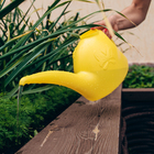 Лейка, 3 л, без рассеивателя, цвет МИКС - Фото 5