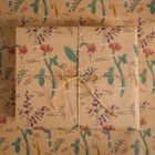 Бумага упаковочная крафтовая «Ботаника», 50 × 70 см - Фото 1