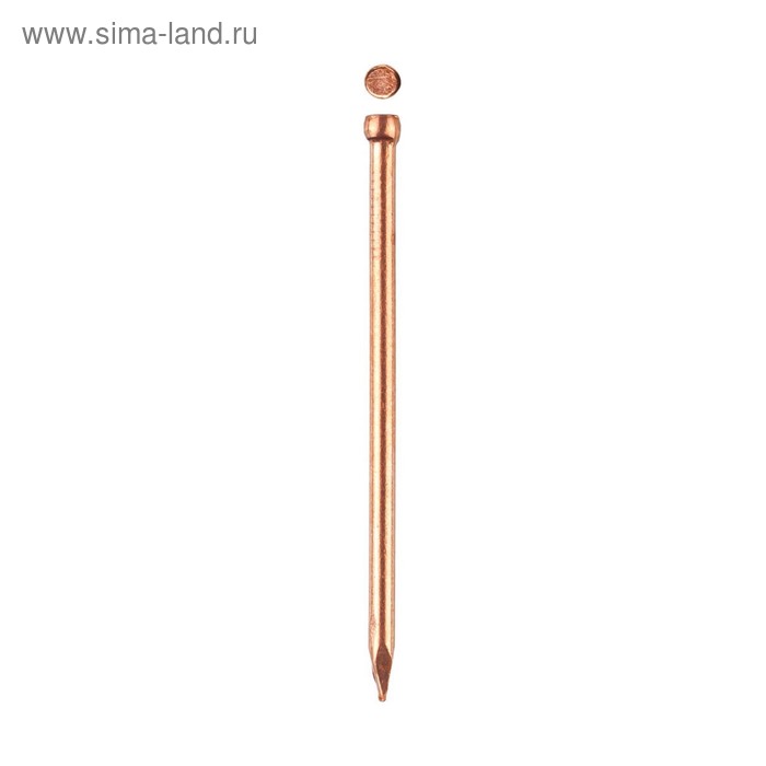Гвозди ЗУБР ПРОФЕССИОНАЛ, финишные, ГОСТ 7811-7035, омедненные, 1,4х25 мм, 50 шт - Фото 1