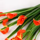 Букет "Калы" 35 см, микс - Фото 2