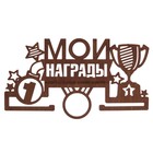 Медальница "Мои награды" - Фото 1