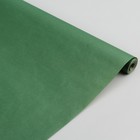 Бумага упаковочная крафт "Зелёный", 0,7 х 10 м - Фото 1