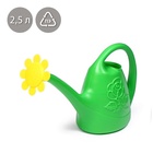 Лейка, 2.5 л, с рассеивателем, носик d=18 мм, цвет МИКС - Фото 1
