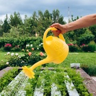 Лейка, 2.5 л, с рассеивателем, носик d=18 мм, цвет МИКС - Фото 7