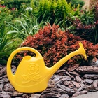 Лейка, 2.5 л, с рассеивателем, носик d=18 мм, цвет МИКС - Фото 4