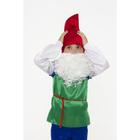 Карнавальный костюм «Гном», текстиль, размер 28, рост 110 см - Фото 3