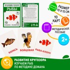 Обучающие карточки по методике Г. Домана «Рыбы», 10 карт, А6 - фото 8637114