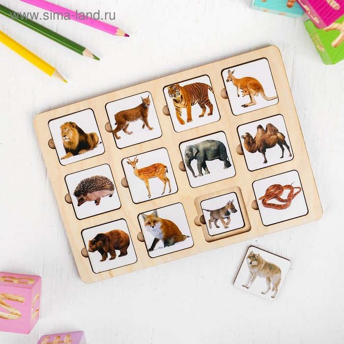 Рамка - вкладыш «Зоопарк» - Фото 1