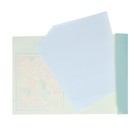 Папка для акварели А4, 10 листов "Цветы", блок 180 г/м2, рисовальная - фото 8368049