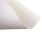 Папка для акварели А4, 10 листов «Цветы», блок 180 г/м², рисовальная - Фото 5