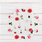 Коробка для печенья, кондитерская упаковка с PVC крышкой, «Жизнь прекрасна», 10.5 х 10.5 х 3 см - Фото 3