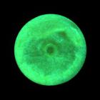 Краска акриловая люминесцентная (светящаяся в темноте), LUXART Lumi, 20 мл, жёлтый, желто-зеленое свечение (L1V20) - Фото 4