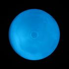 Краска акриловая люминесцентная (светящаяся в темноте), LUXART Lumi, 20 мл, небесно-голубой, небесно-голубое свечение (L4V20) - Фото 7