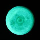 Краска акриловая люминесцентная (светящаяся в темноте), LUXART Lumi, 20 мл, сине-зелёный, сине-зелёное свечение (L3V20) - фото 8368154