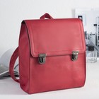 Рюкзак молодёжный, отдел на молнии, цвет красный - Фото 1
